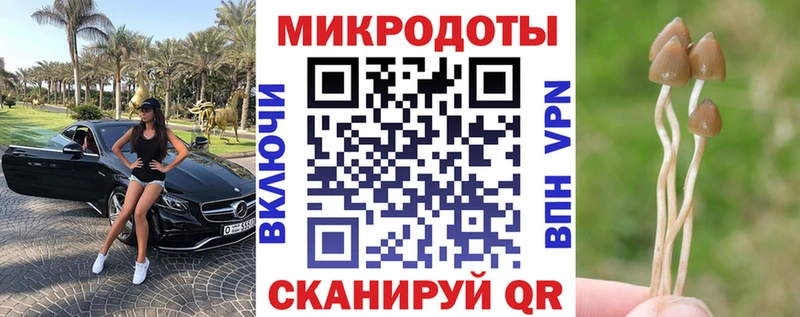 Галлюциногенные грибы Cubensis  купить наркотик  Буй 